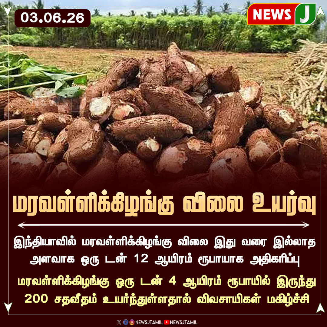NewsJTamil's tweet photo. #NewsUpdate || மரவள்ளிக்கிழங்கு விலை உயர்வு
#Tapioca #Cassava #Agriculture #Farmers #MarketPrice #AgriNews #NEWSJ https://t.co/6yRMhIuk3l