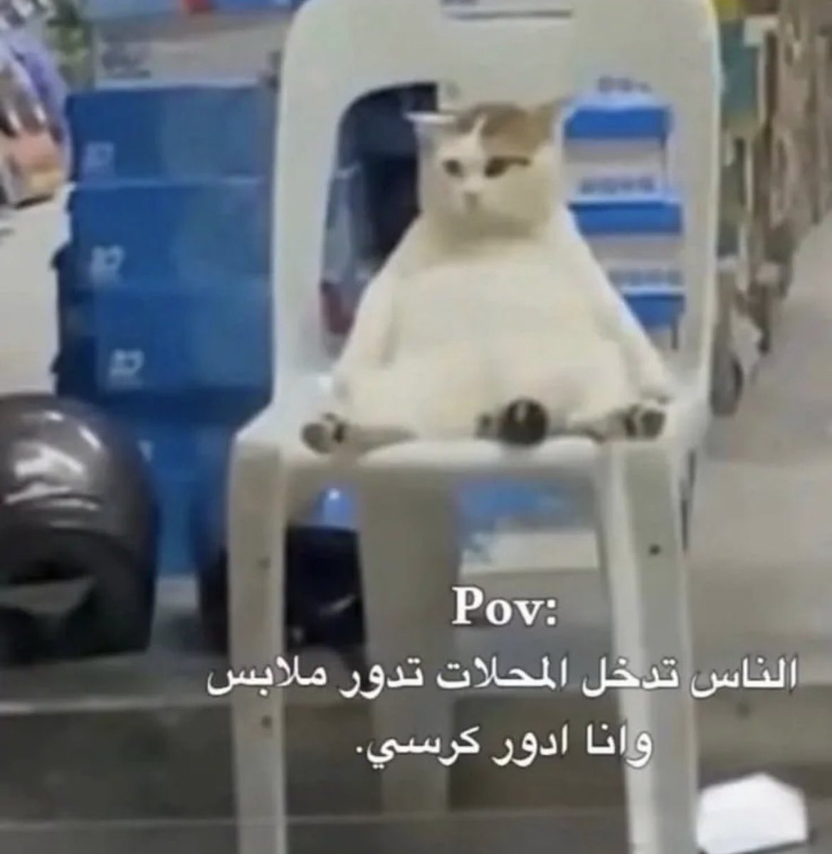 َ tweet media
