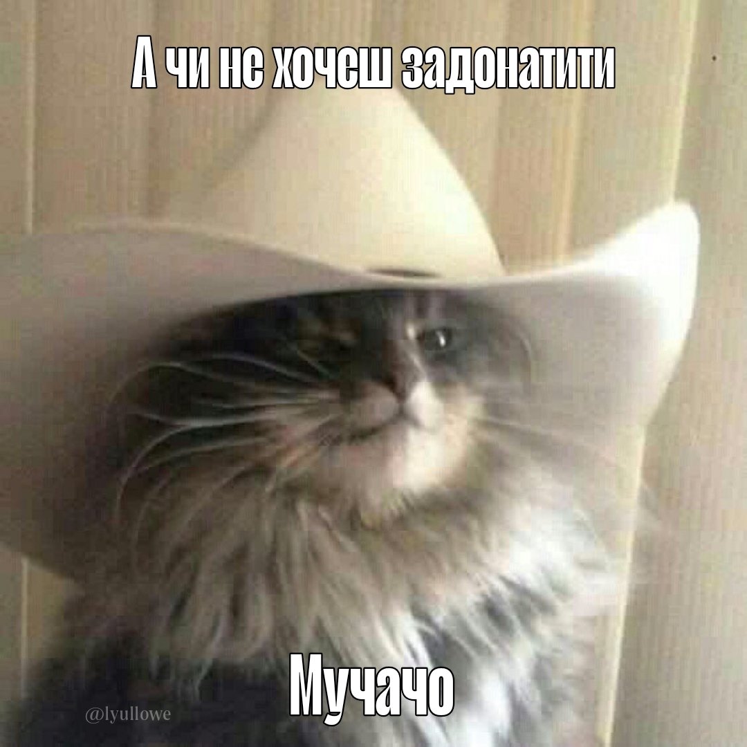 Lyullowe's tweet photo. Мені сьогодні наснилось, шо ми закрили баночку на щезники. Зробимо з цього віщий сон? 

https://t.co/XixhiIATxb https://t.co/6BUtFw0kip