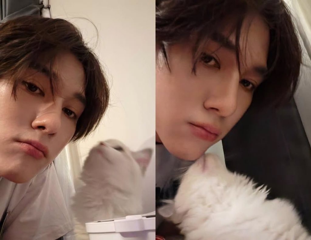 เธเธนเนเธเธเธเธญเธเธเธฑเธ, ๐ตอ๐ฉอ๐ขอ๐ชอ๐ณอ๐ฑอ๐ตอ๐ฐอ๐ธอ๐ฏอ ห tweet media