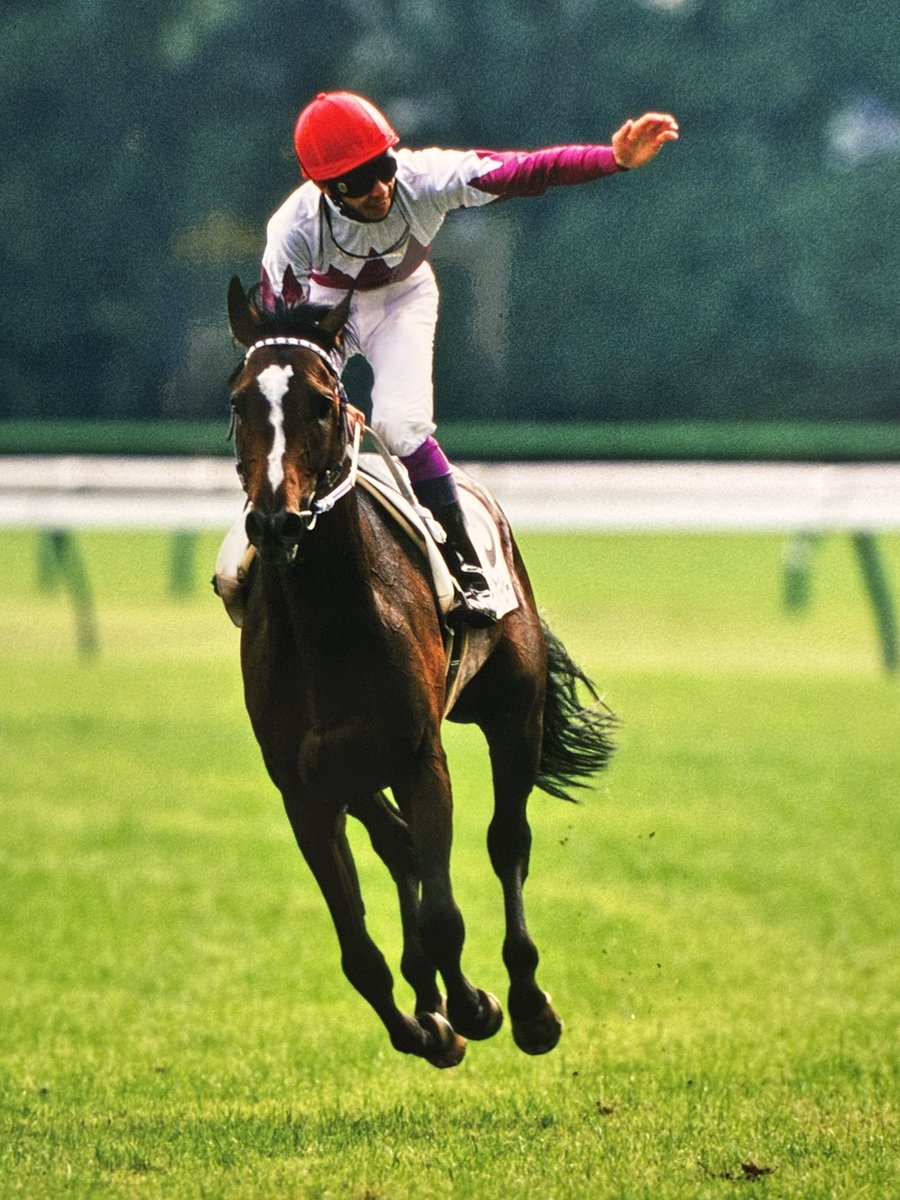 格好が良すぎる。見ても飽きない。私の競馬歴1993年からの33年間が