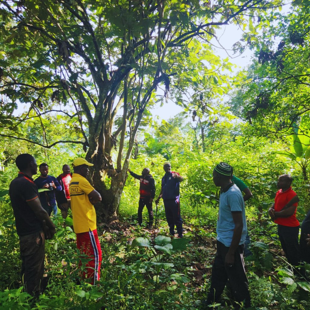 tukwa2's tweet photo. Indeginious Forests future plan starts conserves today, for better tomorrow 🌱 
#climateAction 
Donate &amp; share https://t.co/DQGAOKz20y https://t.co/VgWPo4gpca