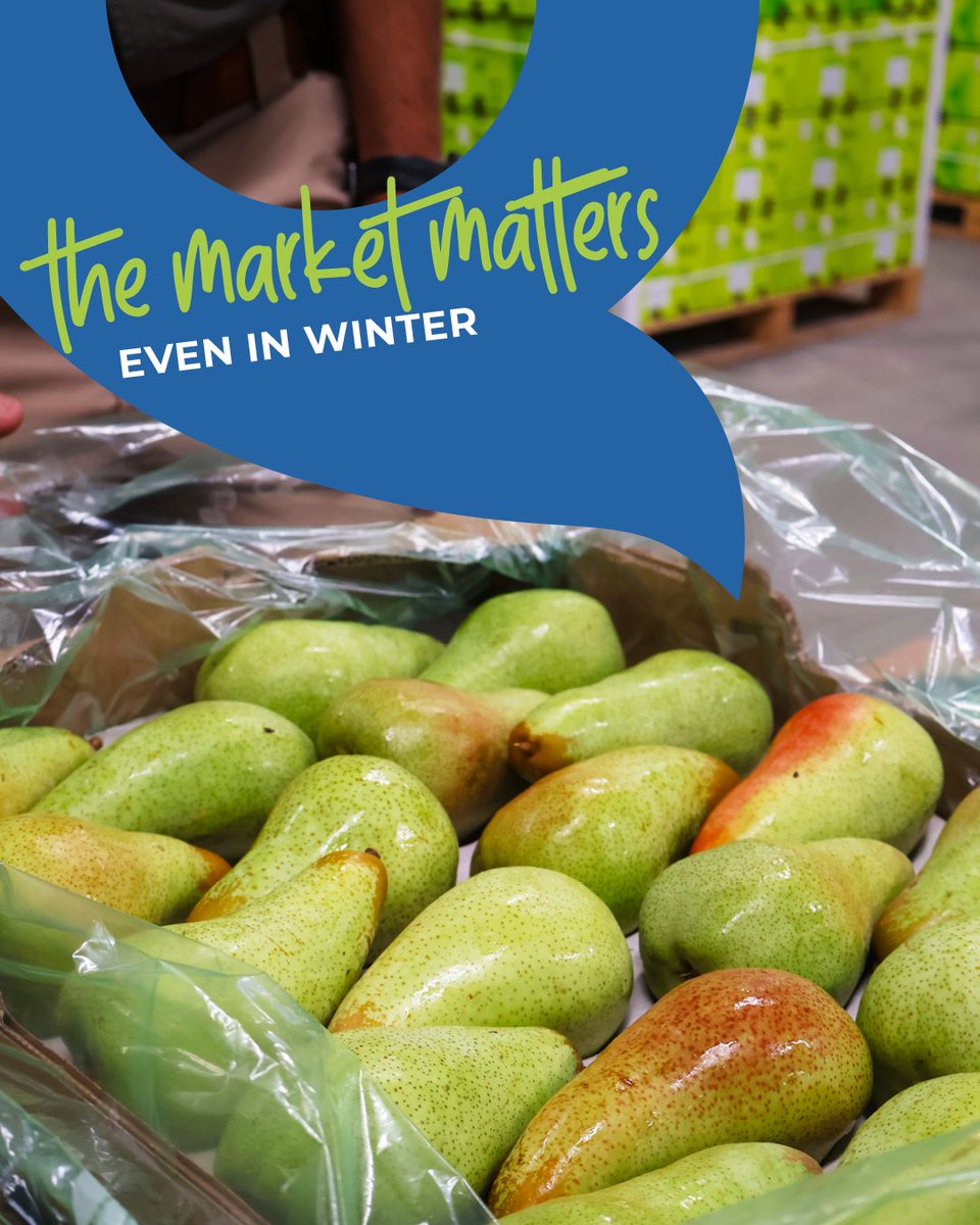 Grow_Produce's tweet photo. Harvests continue, buyers still need supply and demand never stops. Fresh produce keeps moving because markets keep working.

And Grow helps keep that connection strong, whatever the season. 🌱

#growfreshproduce #growwithus #marketsmatter #freshproduce #GrowingTogether https://t.co/2xgDCzlZqQ
