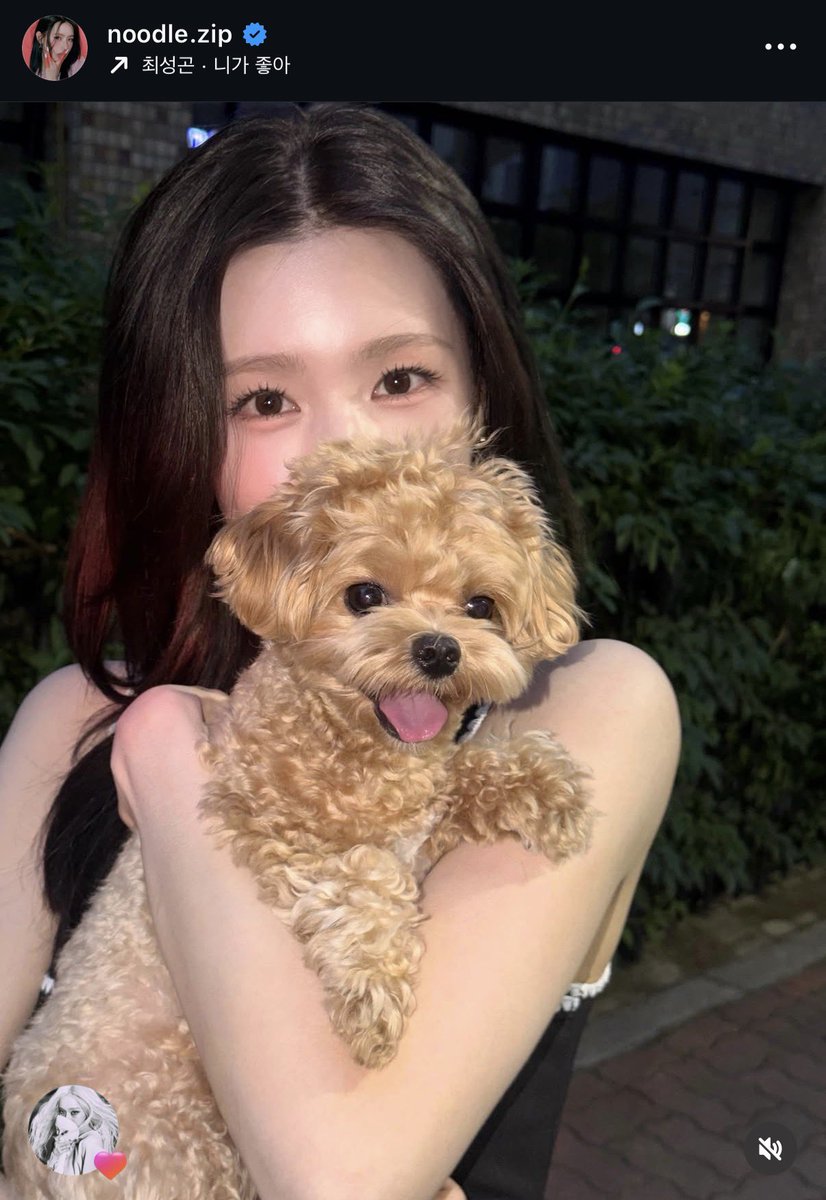 ppori01's tweet photo. 김민정 미연님 인스타에 좋아요 눌렀는데
저 게시물 브금 니가 좋아인거 개웃김 아 https://t.co/GtrDE5e5ep