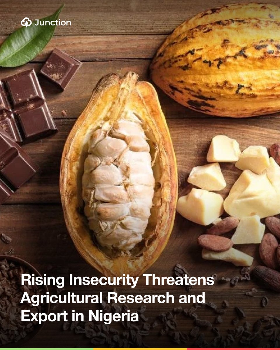 AgricJunction's tweet photo. 🚨 Rising insecurity is threatening agricultural research and Nigeria’s export crop value chains. Stakeholders warn that attacks on research institutions like CRIN could disrupt innovation, investment, and non-oil export growth. 🌱📉 

#Nigeria #CRIN #Food #Exports #Security https://t.co/7AuFTUdh0w