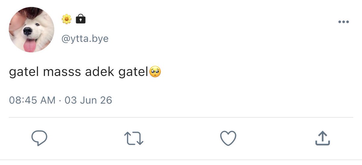 alaivva's tweet photo. 320. tenangin diri u natala https://t.co/gaEww4BFHa
