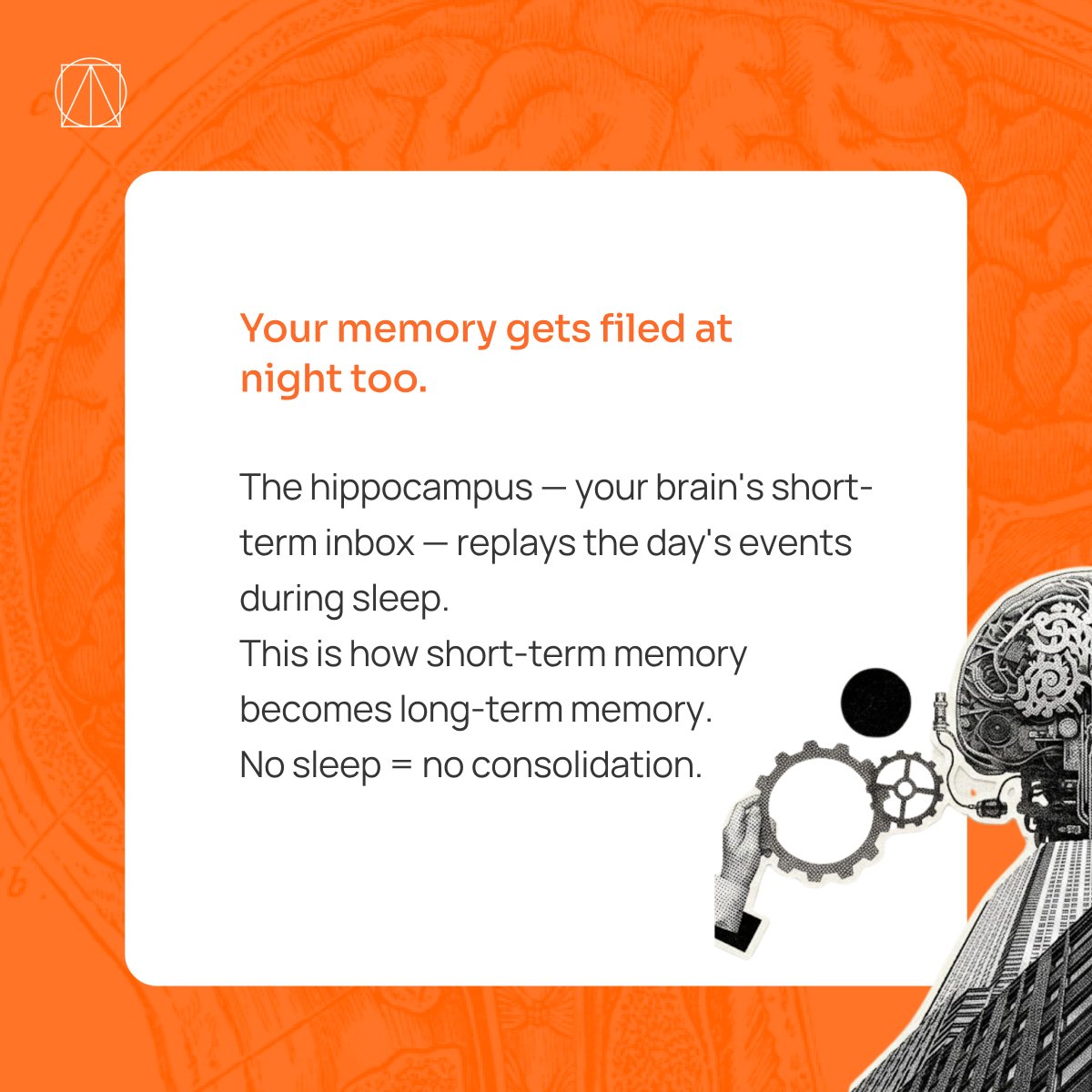 anthriq's tweet photo. What's the first thing that goes when you're sleep-deprived?
#Neuroscience #GlymphaticSystem #SleepScience #BrainHealth #Neurotech https://t.co/oF67i9W0A4