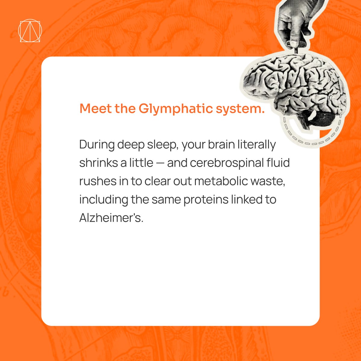 anthriq's tweet photo. What's the first thing that goes when you're sleep-deprived?
#Neuroscience #GlymphaticSystem #SleepScience #BrainHealth #Neurotech https://t.co/oF67i9W0A4