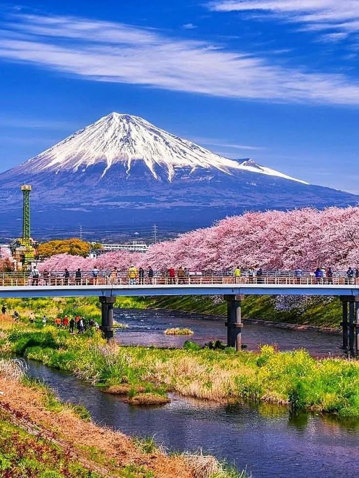96317Abbas's tweet photo. Mount Fuji, Tokyo Japan 🇯🇵🌸 https://t.co/k2K3ffSFHw