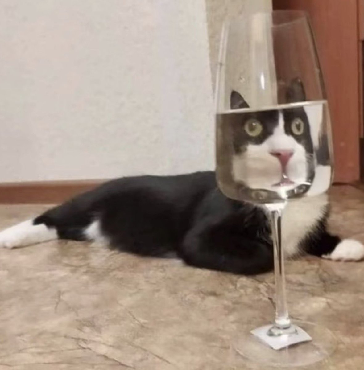twaniimals's tweet photo. https://t.co/eX3MkHTaeg