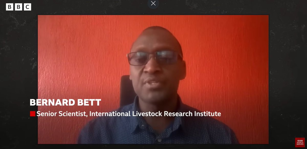 ILRI's tweet photo. Why are animal diseases like Ebola & coronaviruses jumping to humans more frequently? 🧵

As ILRI scientist Bernard Bett explains on @BBCWorldService, environmental shifts, urbanization & food security challenges are bringing us closer to wildlife than ever before.

While we can't completely stop spillovers, a #OneHealth approach combines predictive science & resilient infrastructure to halt localized outbreaks before they become pandemics.

Watch how researchers are monitoring the threat: https://t.co/2dI54vt3VZ

#InfectiousDiseases #Epidemiology #PandemicPreparedness