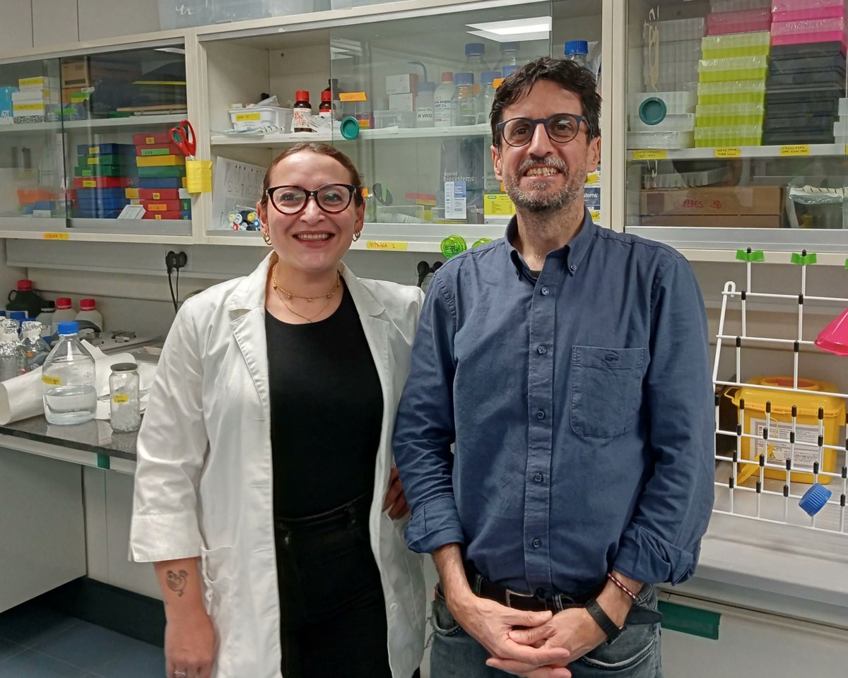 IBECBarcelona's tweet photo. 🔬🫁Un estudi descobreix per què els dos principals tipus de càncer de pulmó responen diferent als fàrmacs i obre la porta a tractaments més personalitzats.  

Lidera el treball Jordi Alcaraz. https://t.co/twhnUMDaKt