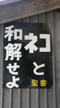 何だか、レミゼだ、隠れキリシタンだと、信者っぽいポストが続いたので、オイラは無宗教・無党派なのを一応言っておく～😳👼🐈🐾 