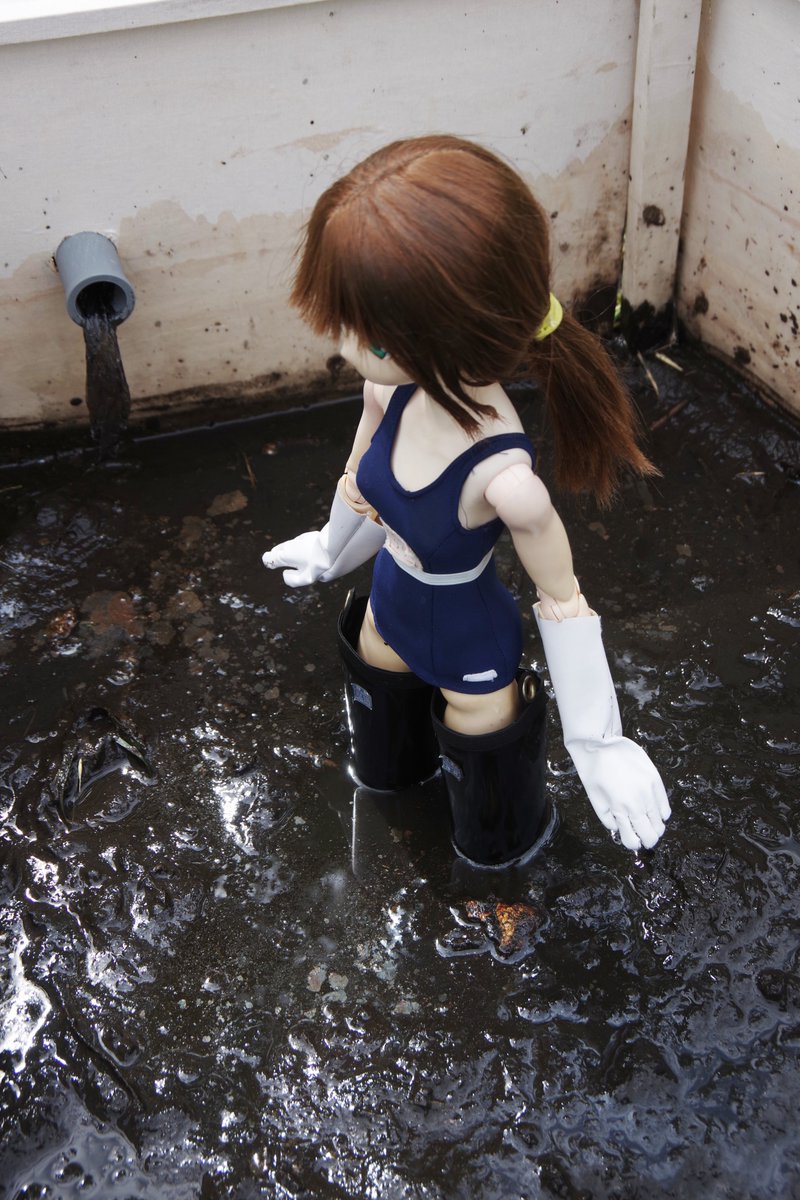 pet73359's tweet photo. リリア
５０ｃｍ　１／３　（アゾカツ https://t.co/8sMvcrIV8g