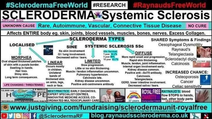 cosmicfairy444's tweet photo. June #SclerodermaAwarenessMonth 🌻This infographic shows the different types of scleroderma and their similar symptoms https://t.co/RGkiIiY4bm 
Click Scleroderma and Raynaud's option https://t.co/vd8wz8p1G7  https://t.co/ik4hEwgGYk
#SclerodermaFreeWorld #BePartOfResearch #NoCure https://t.co/AbXDojOlyc