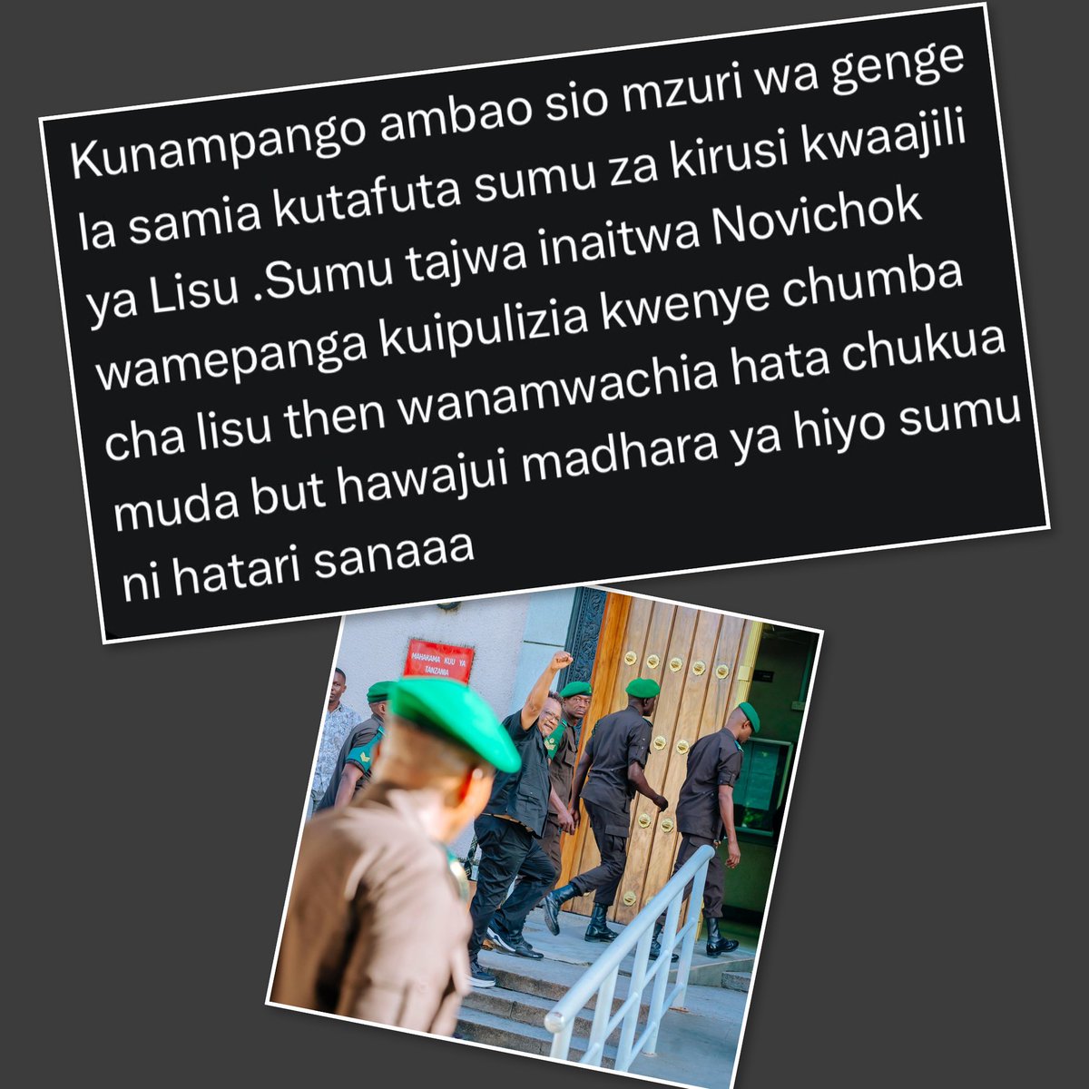 Maria Sarungi Tsehai tweet media