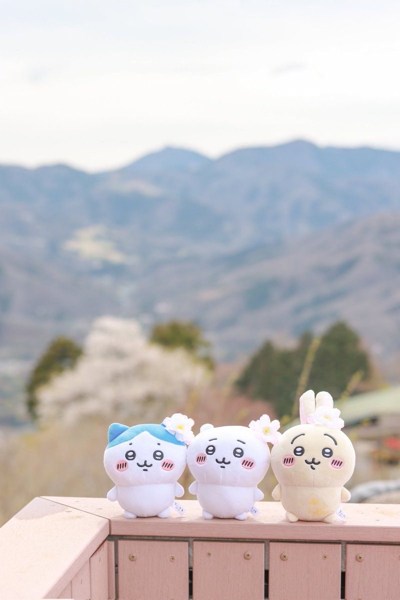 369_tea_c's tweet photo. すっごくいい景色！🏔️

#ちいかわたちとツツウラウラ https://t.co/I8G6uqUIqz
