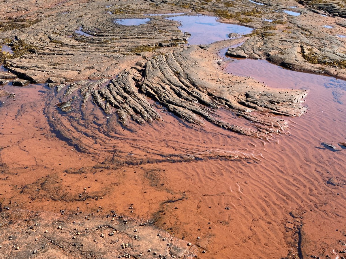 MacADNski's tweet photo. PEI Rock of the Day https://t.co/g9FawP7DGz