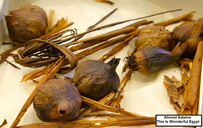 SoucivaMA's tweet photo. Tutankhamun loved eating onions and garlic  
indeed, a quantity of green onions and garlic was found in his tomb, preserved and dried in excellent condition to accompany him on his journey to the afterlife https://t.co/JpSruATVKV