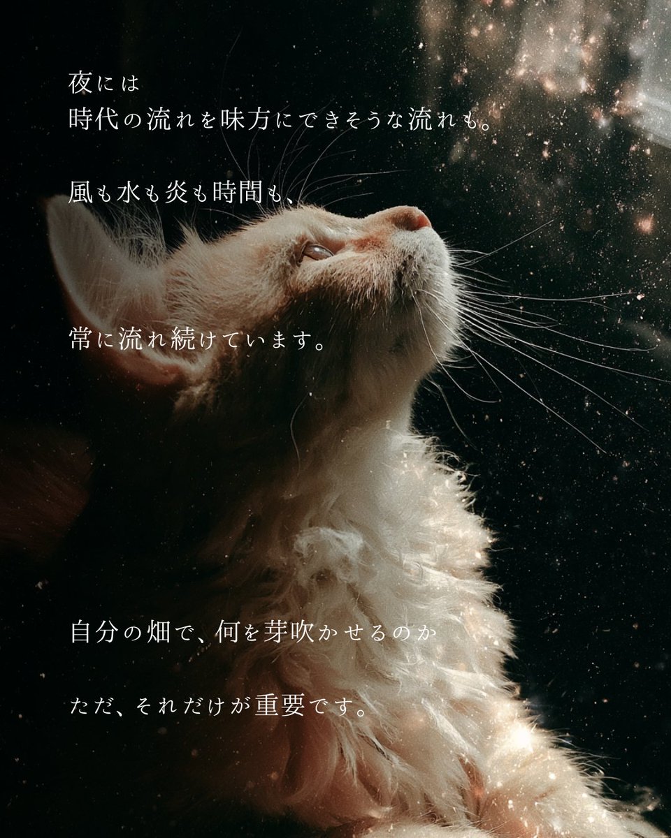 《6/4：星々からのメッセージ》 牡羊座：「これまで」を大切に。その結果、活躍できそう。 牡牛座：情報収集がカギ。突破口が見えてくるかも ...