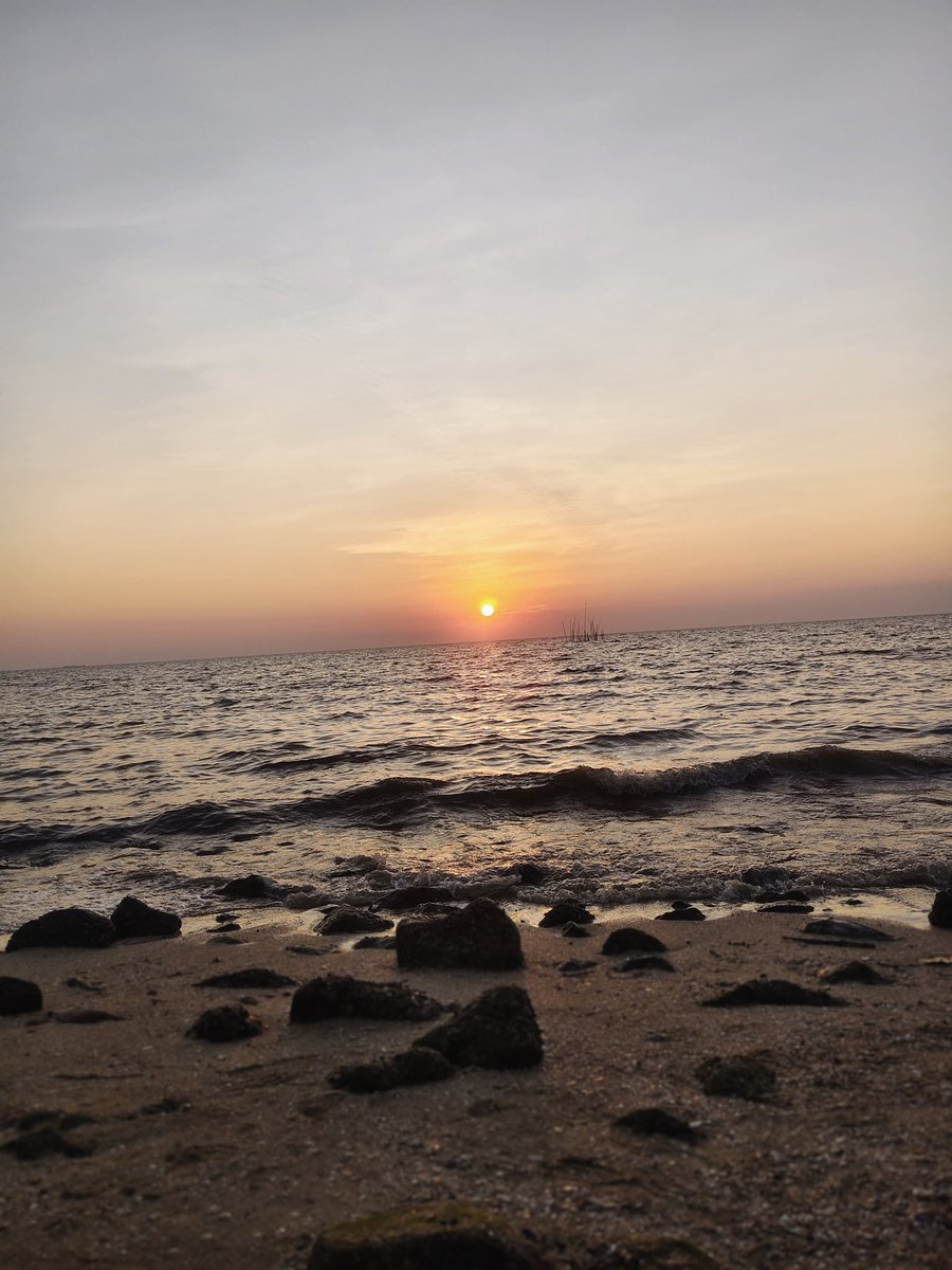 𝐒𝐑𝐊_327🐟 tweet media