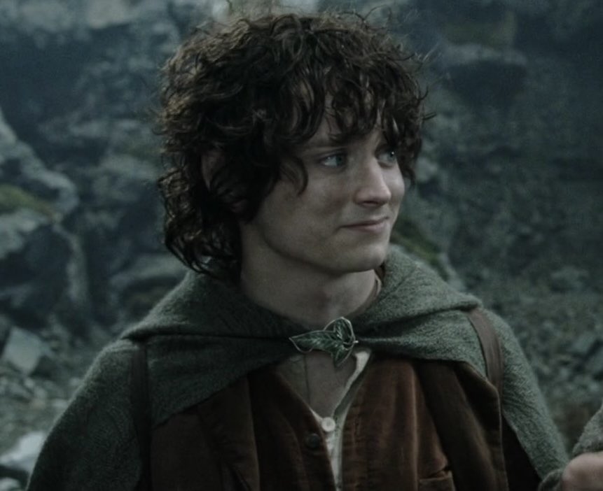 kingofbrethren's tweet photo. people who hate frodo baggins are weak and would not last one minute with the ring btw https://t.co/NZU0bz2Kyf