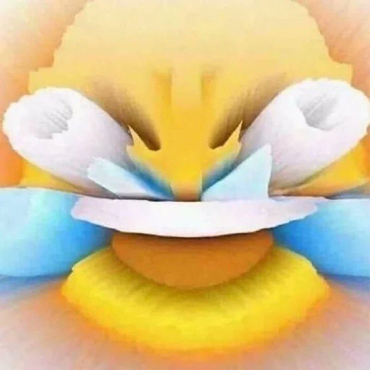 AgentPuffle's tweet photo. Lots of new $LMAO! memes have been added to our community telegram recently 

wanna access them? 

join below 👇 

https://t.co/xZSWRNsVLT https://t.co/GWS6YXKjVV
