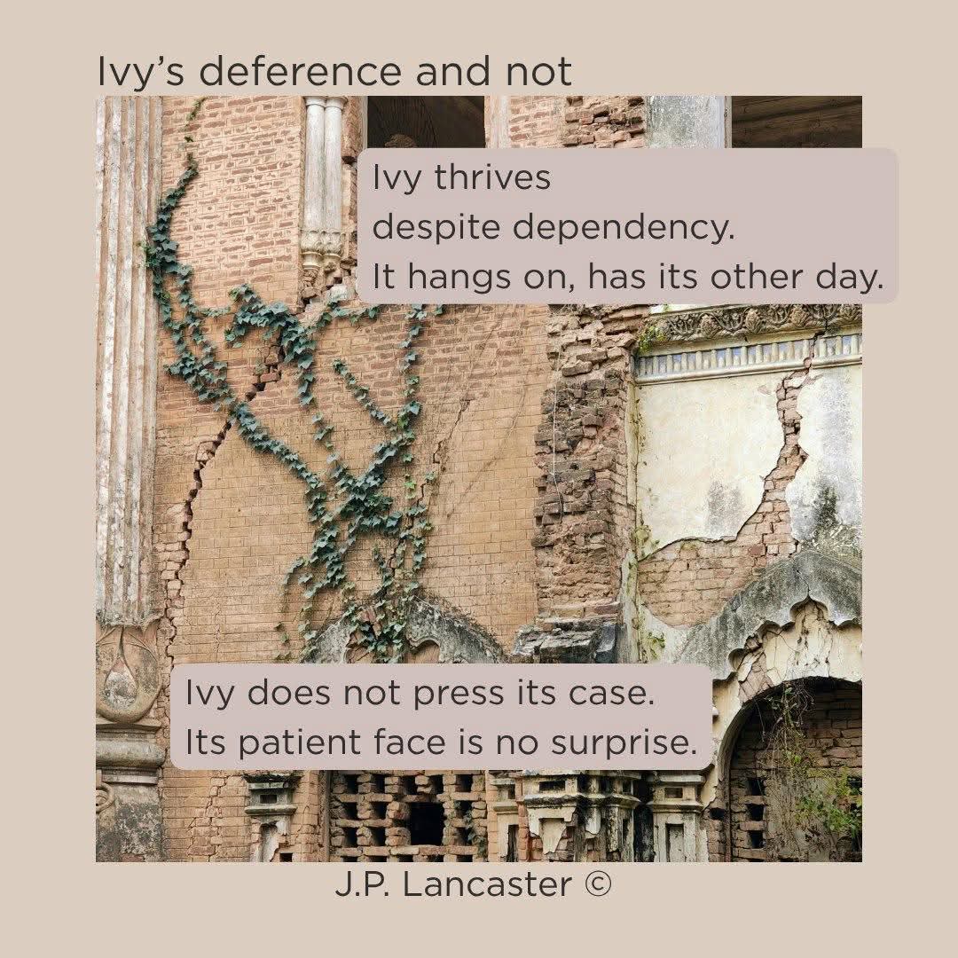 InkSweatTears's tweet photo. Have you ever felt misunderstood? J.P Lancaster's poem 'Ivy's deference and not' presents the reader with the unsung and undervalued qualities of ivy in its defence.

Read it here:  https://t.co/muNQSWrzgN

#InkSweatandTears #Poetry #Submissions #Ivy https://t.co/urS9n8tPNP