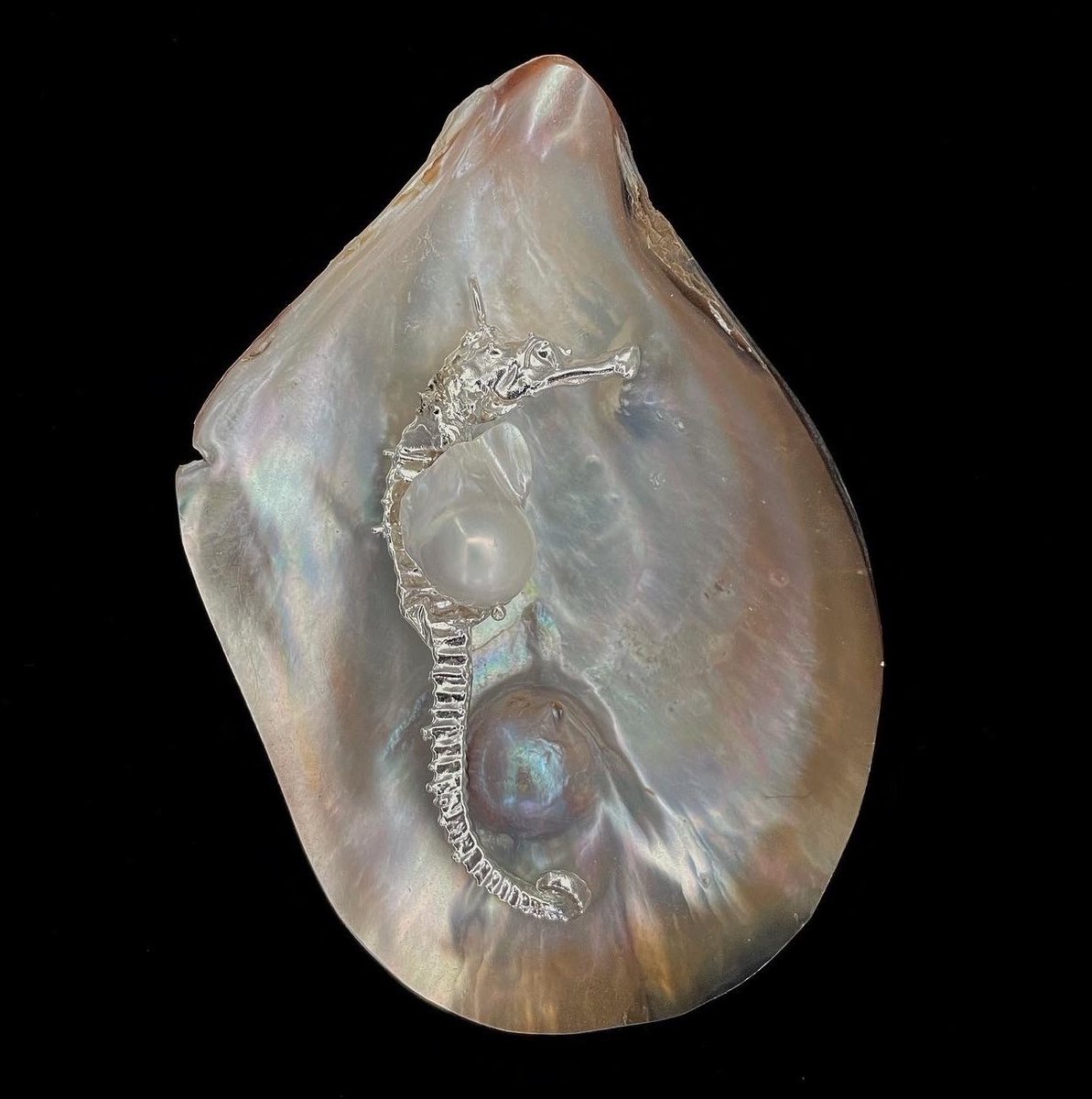 ArtorOtherThing's tweet photo. seahorse pendant with baroque pearl pouch by moon and serpent https://t.co/aH7wLyvO3T