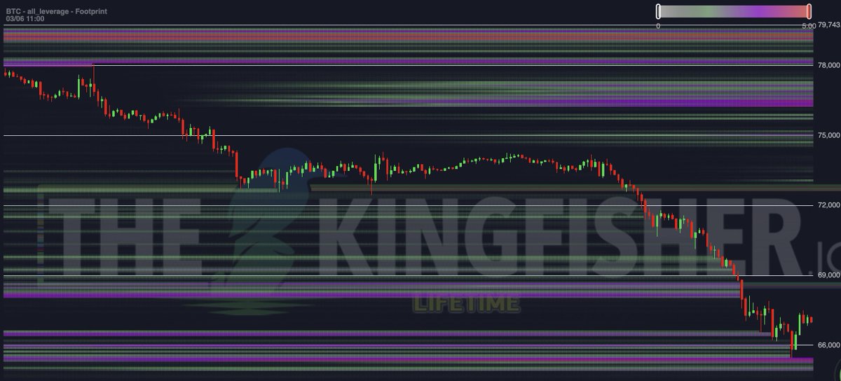 TheKingfisher tweet media