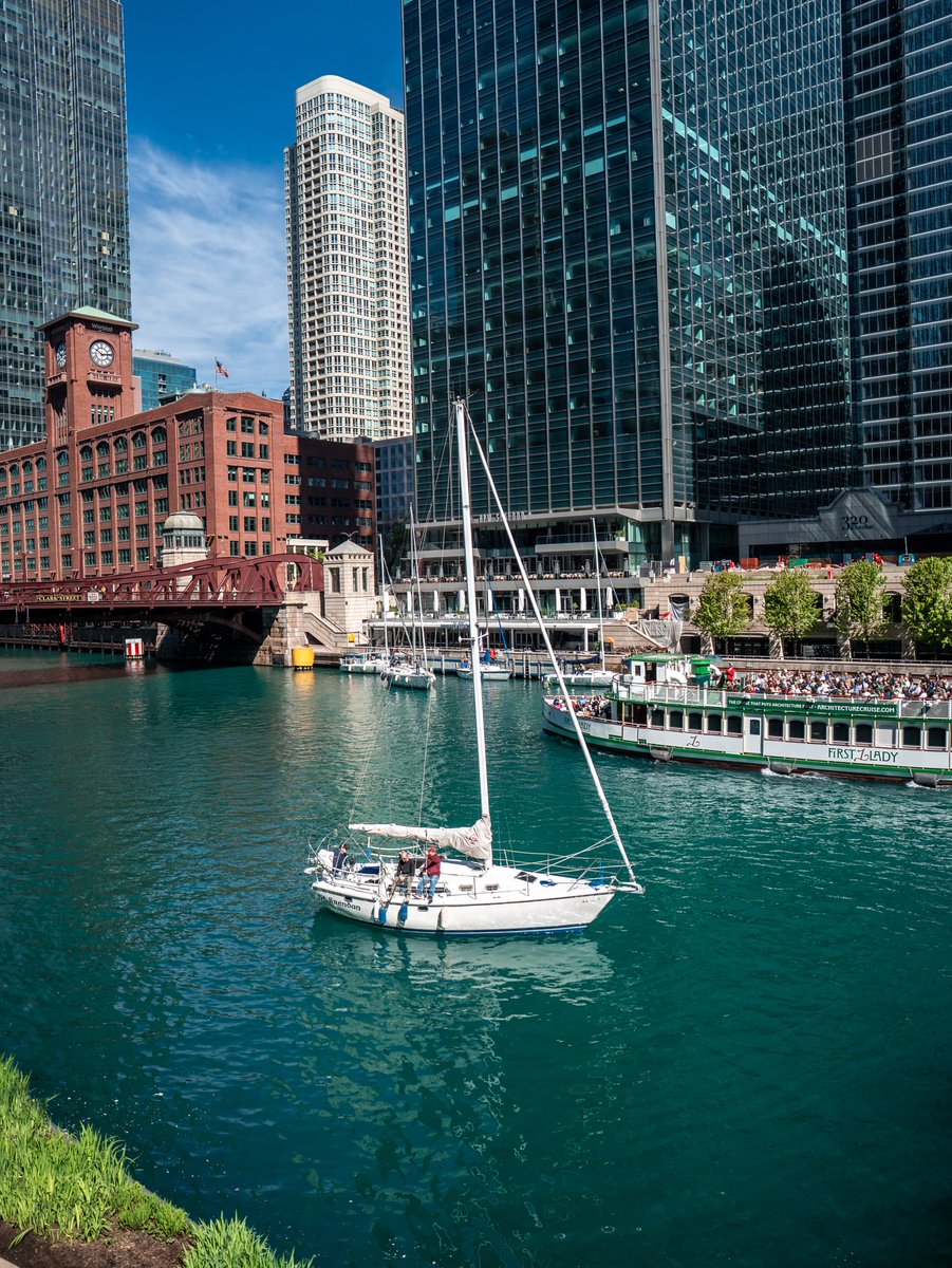 NatureRoot88's tweet photo. Chicago, Illinois 🇺🇸 https://t.co/Kgkf83iytn