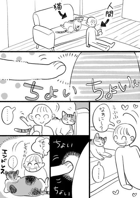 同居猫、自分を見て欲しい時や撫でて欲しい時などにおててで人間をちょいちょいとして呼びます。
撫でてる途中でも「もっともっと!」みたいにちょいちょいする
可愛いですね…(目頭押さえる絵文字)

この時左手でちょいちょいする事が多い気がするので左利きなのかも(?) 