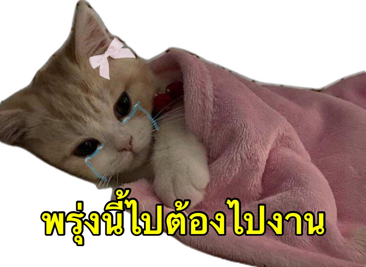 23jpeg's tweet photo. หยุดต่อเลยได้ไหม https://t.co/8z9E2nNQ5D