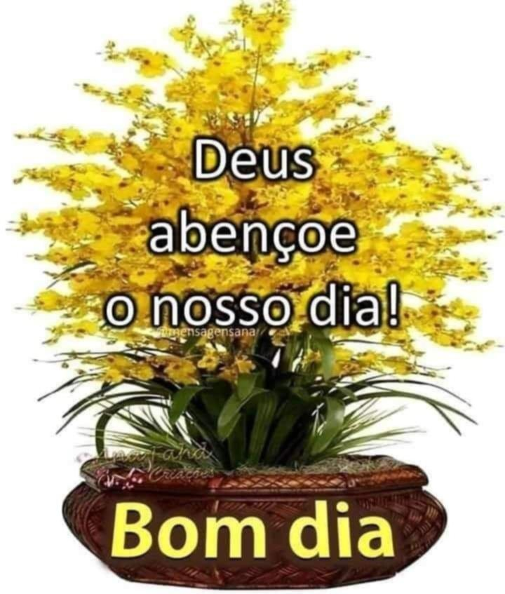 lita major tweet media