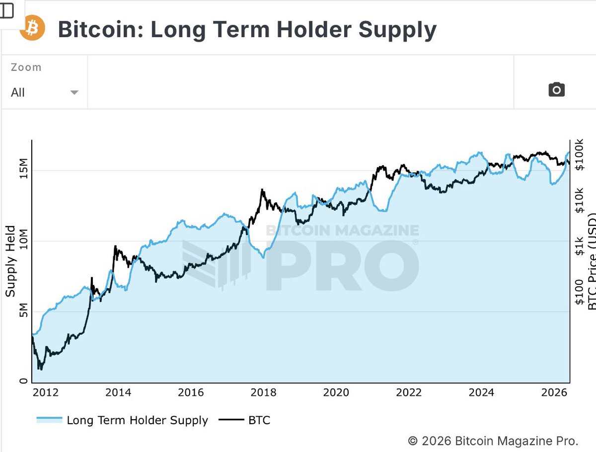 M0NIGLE's tweet photo. As predicted, one final pullback in bitcoin as long term holders accumulate the dip. This usually marks a bottom. https://t.co/n0la6VlYXf