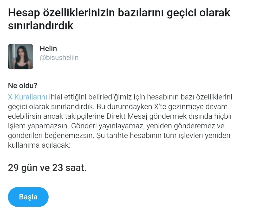 🎀 tweet media