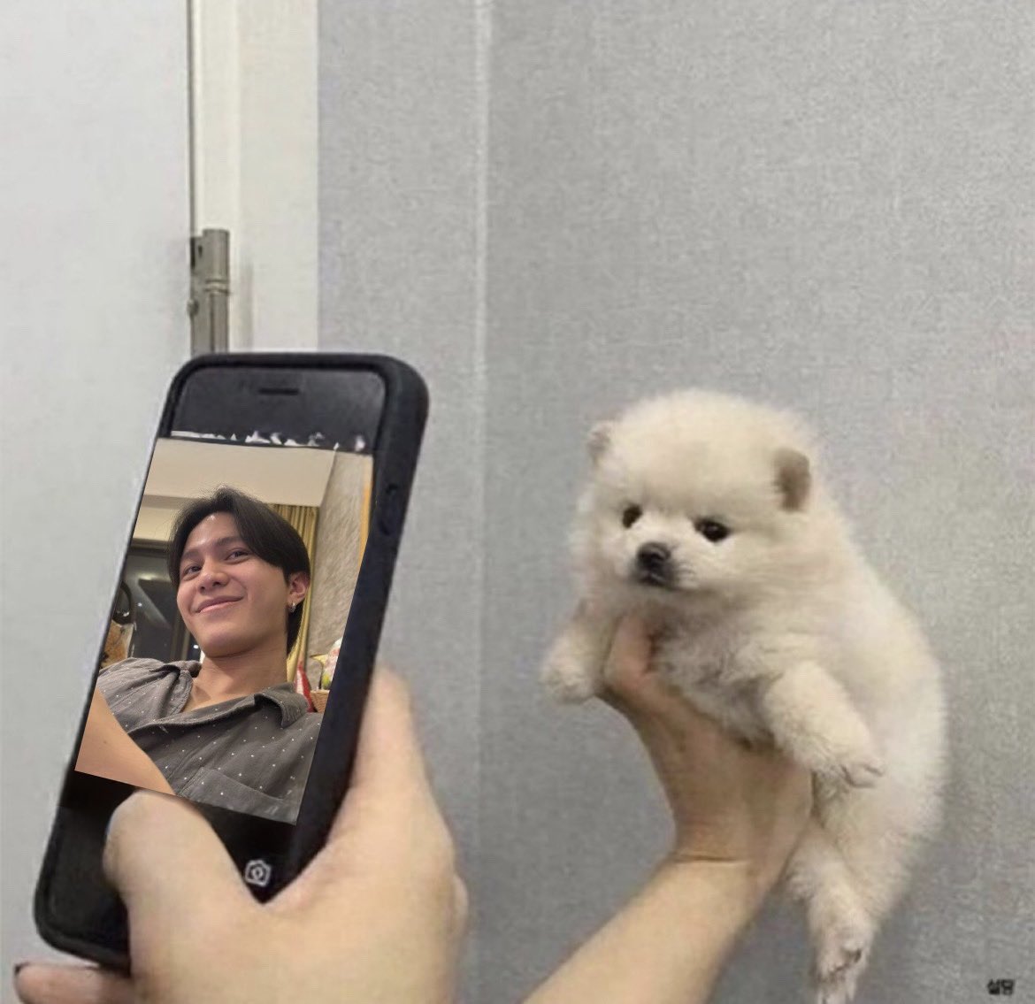 tanya_believe's tweet photo. 🐶🤏🏻 #williamjkp https://t.co/RXMJ59J7So