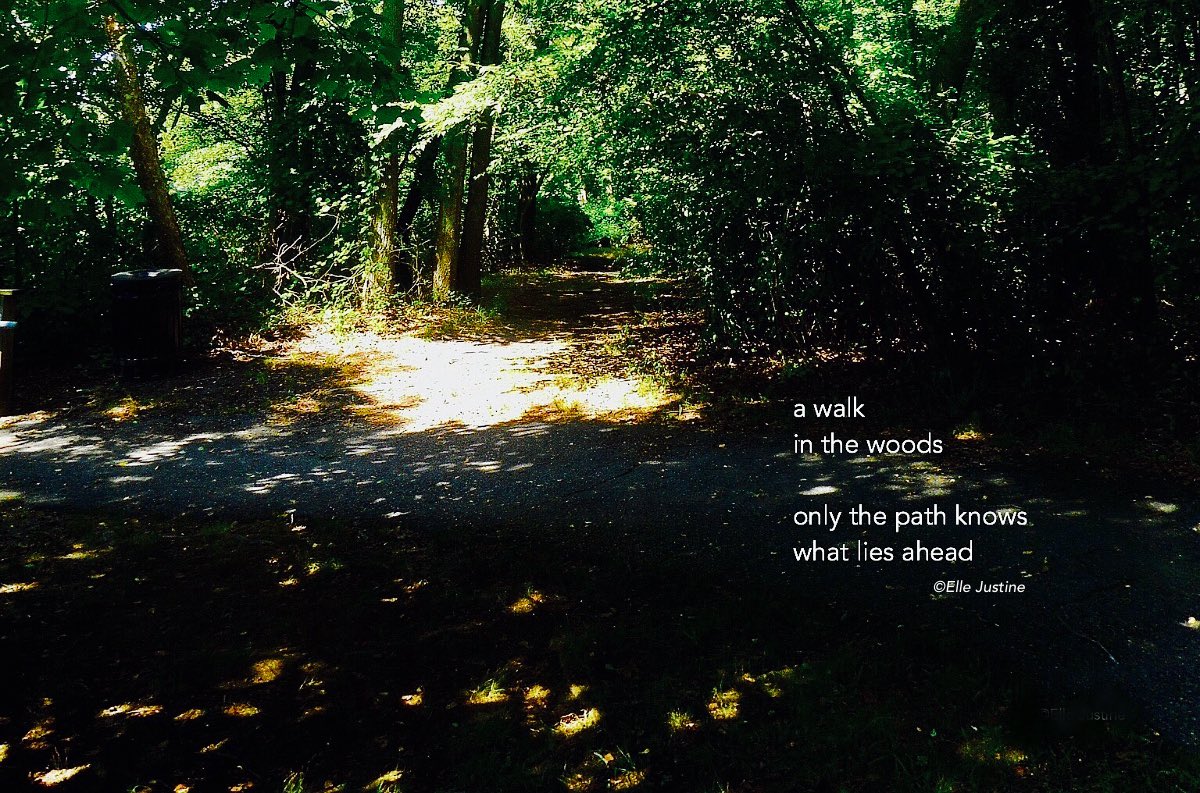 only1elle's tweet photo. a walk
in the woods
only the path knows
what lies ahead… https://t.co/pT3lTROYQb