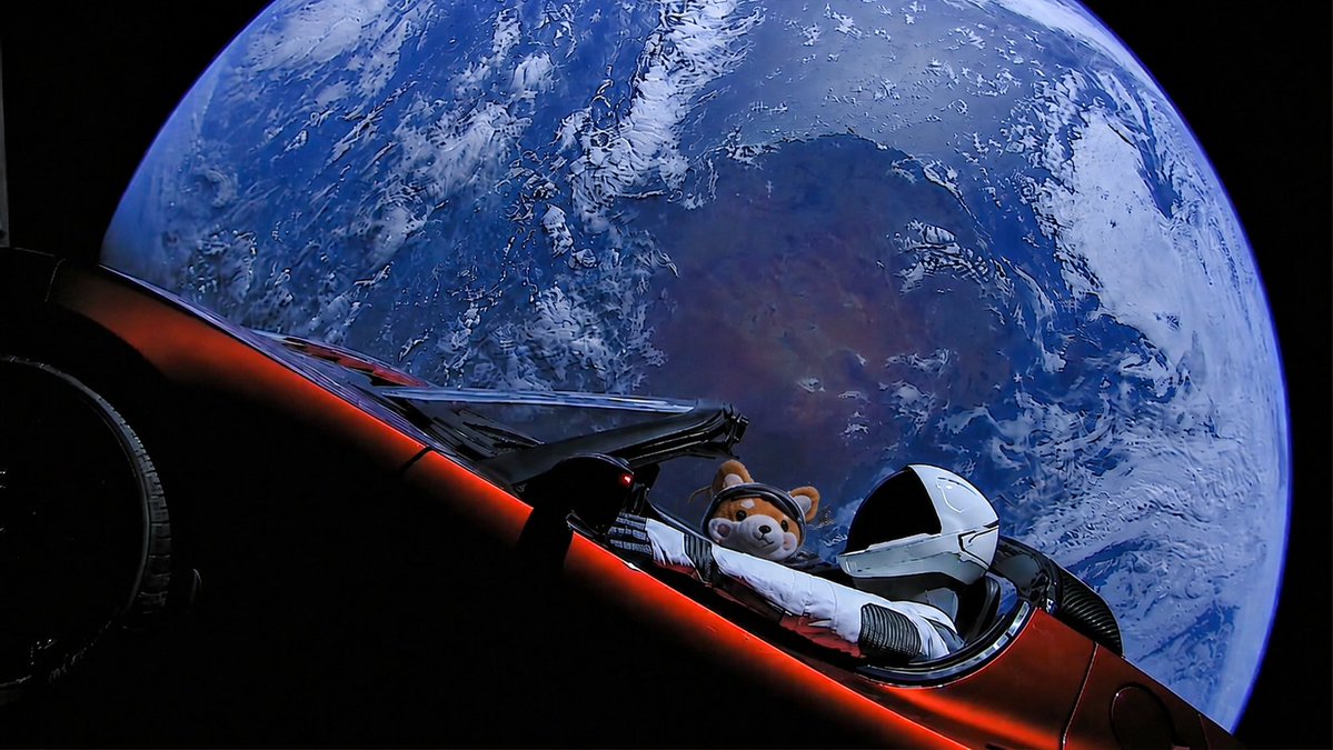 white_sunset's tweet photo. @elonmusk Doesn’t the Starman feel lonely? 

Maybe it’s time for him to get a Stardog https://t.co/utQ5d4qnIw