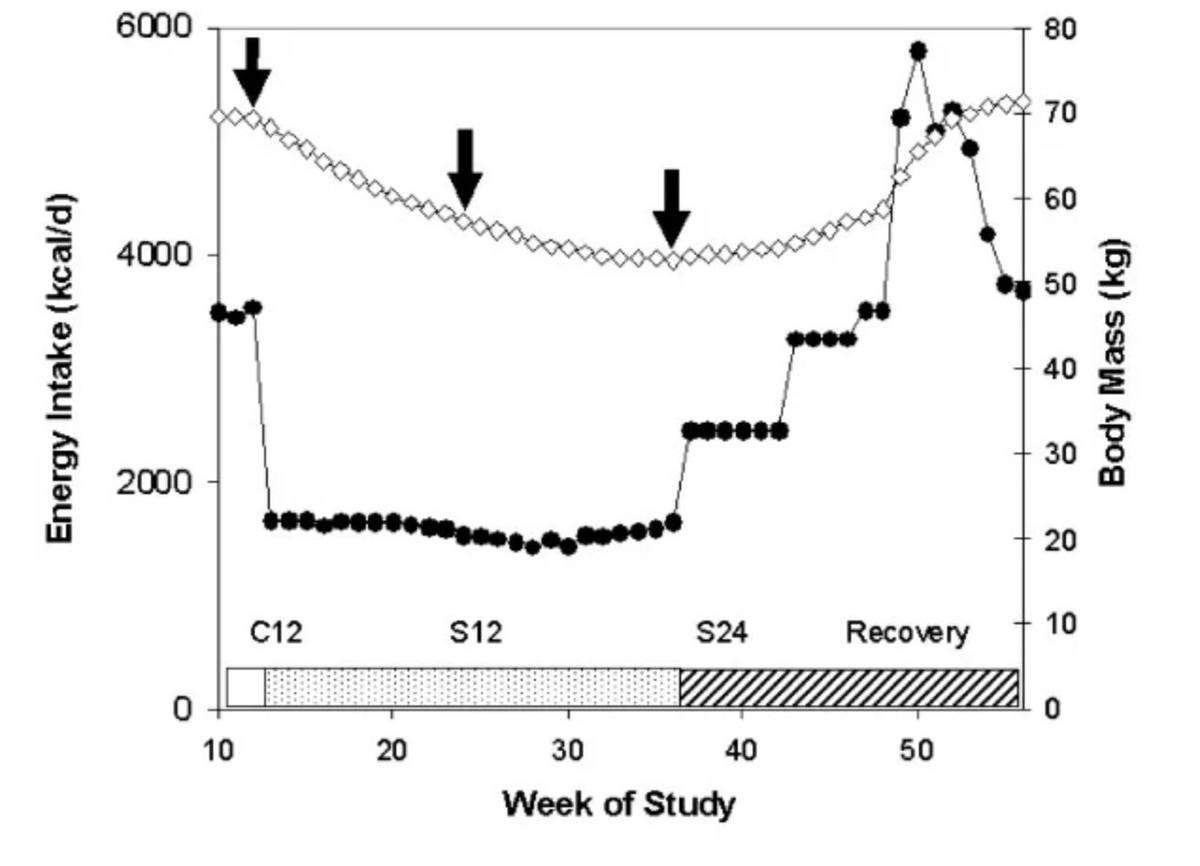 metabolic_print's tweet photo. 36 men had their food intake cut by 50%.

They felt:
‣ Cold
‣ Apathetic
‣ Depressed
‣ Disinterested in sex
‣ Thinning hair
‣ No motivation
None of that was their personality or how they ACTUALLY were. It was their biology dressed in a survival state.
When they were fed normally again, all of these symptoms reversed, with mood being the last to come back.

That’s why scientists are recently pointing to impaired energy production as a major cause of depression, and why simple minerals such as magnesium have had incredibly therapeutic effects on combatting it.