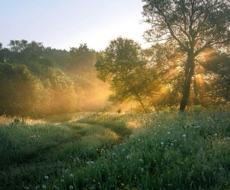 E ★ tweet media