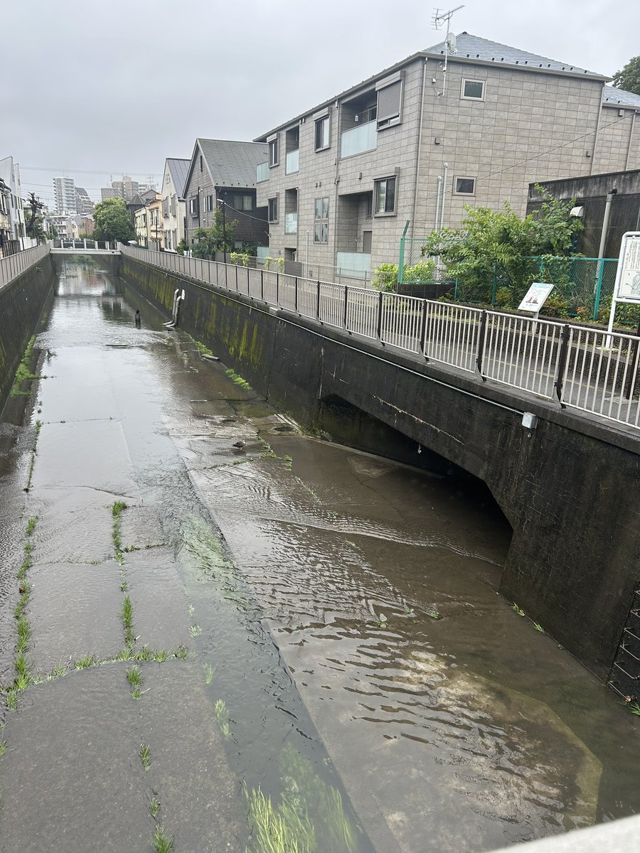 fukakimi's tweet photo. 台風6号による被害に遭われた方々には、お見舞いを申し上げます。

被害確認に、市役所各所管も奔走していることでしょう。
吉祥寺北町1丁目・吉祥寺北町4丁目・杉並区との境界の善福寺川原寺分橋を確認に─
#武蔵野市
#台風6号 https://t.co/TCzJy3rEJs