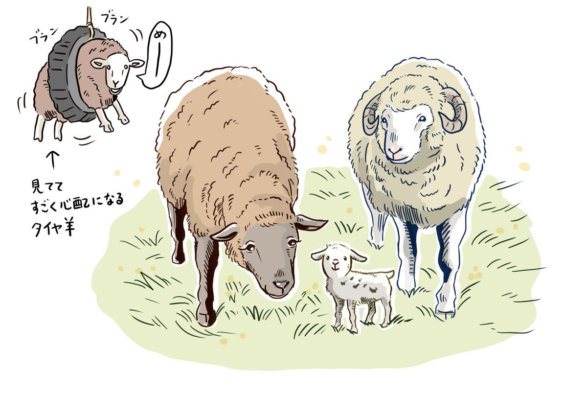 TDQFRYtruJY7ZxR's tweet photo. #ひつじ探偵団

良かった…🐏
Blu-ray出たら買う…🐏🐑
モップル推し…… https://t.co/WJEXfj8L9I