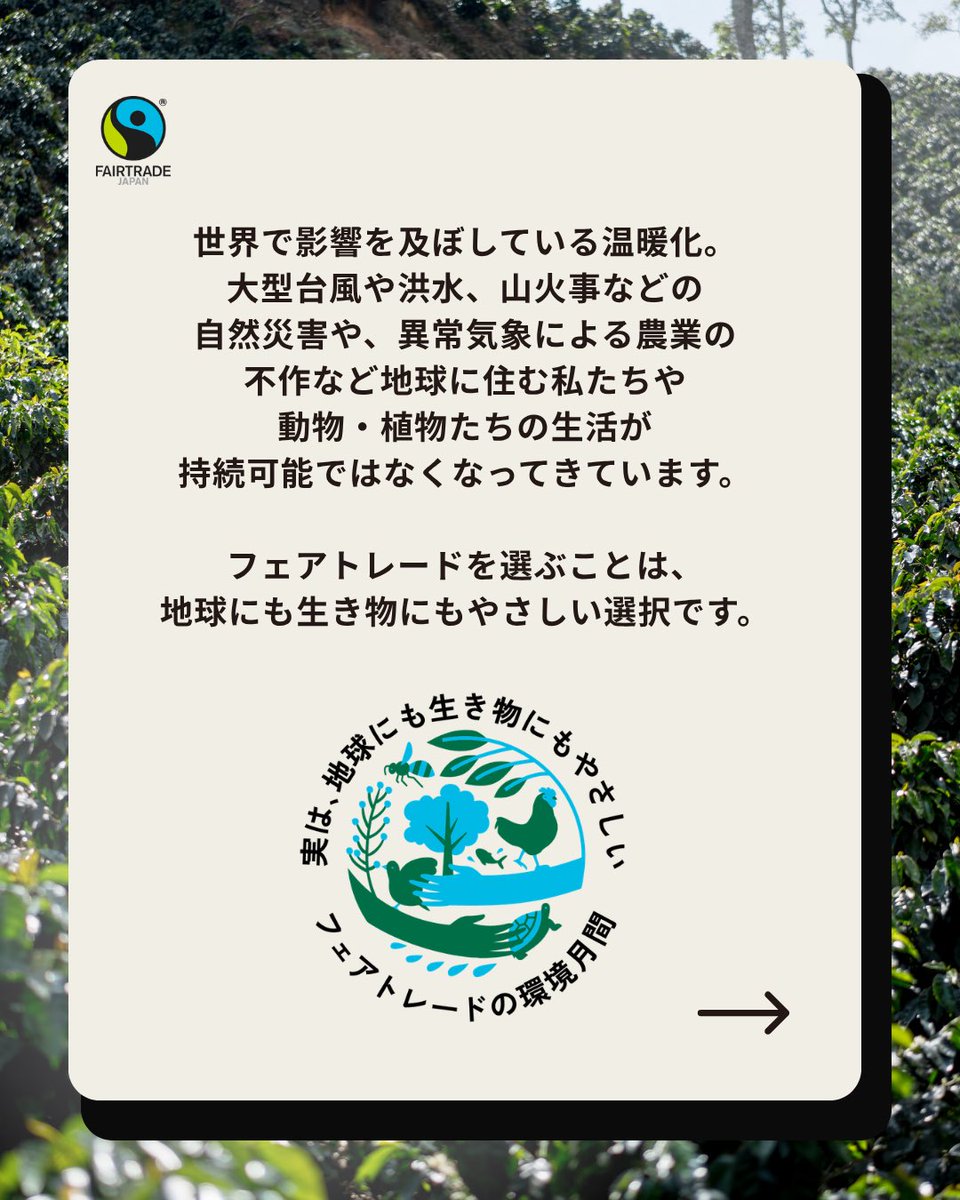 fljp's tweet photo. 【フェアトレードの環境月間】フェアトレード × 環境クイズ🌏

実は、地球にも生き物にもやさしいフェアトレード。

6月の「フェアトレードの環境月間」では、まだまだ知られていない「フェアトレード」と「環境保全」のつながりをクイズでお届けします✨

今回の問題は...

『国際フェアトレード基準で定められている、農薬のルールで正しいのはどれ？』

1. 安くて強い農薬なら、いくら使ってもいい
2. キケンな農薬は禁止。安全なものも倉庫にしまう
3. 誰でもいつでも、自由に取り出せる場所に置く

気になる答えは...
スライドしてチェックしてくださいね💚

実は、国際フェアトレード基準には「人と地球を守るための厳しい約束（環境基準）」がセットになっています🤝✨

6月は「フェアトレードの環境月間」。
みなさんも、フェアトレードと環境のつながりを知り、日々の選択肢に「フェアトレード」を加えてみませんか？
商品についている「国際フェアトレード認証ラベル」が目印。ぜひお買い物の際に探してみてください🧑🏼‍🌾🌿

#フェアトレードの環境月間 #フェアトレード #fairtrade #気候変動