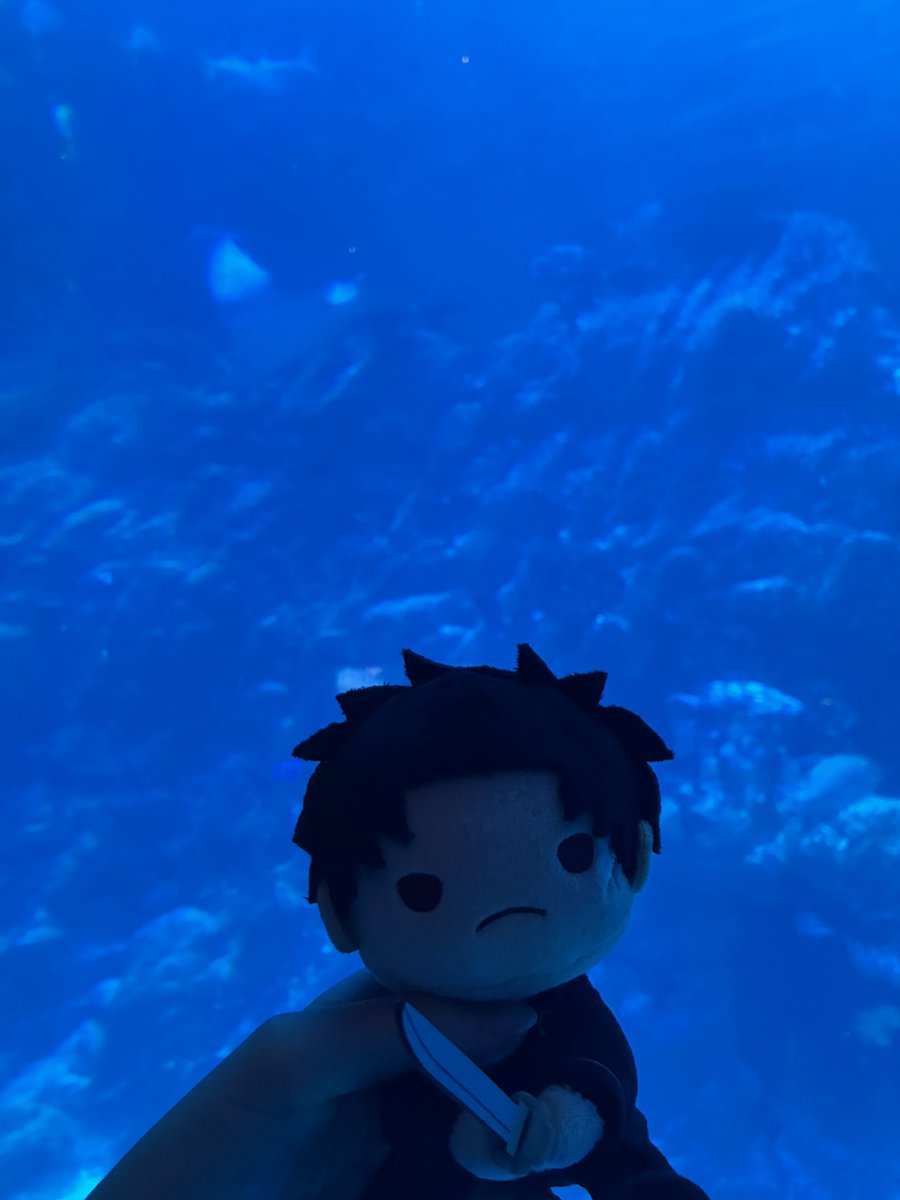 192543_'s tweet photo. we gone places https://t.co/26cXy1zOMS