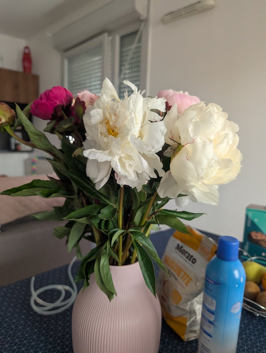 verobe's tweet photo. Mon chéri qui m'envoie un bouquet de fleurs, le livreur @Chronopost le laisse dans un LOCKER! !! Et quand on contacte @Interflora ils disent que le bouquet a un aspect normal alors qu'il a passé la nuit dans un Locker dans un carton. Mais c'est quoi cette histoire? https://t.co/h8Dl2qaRe7