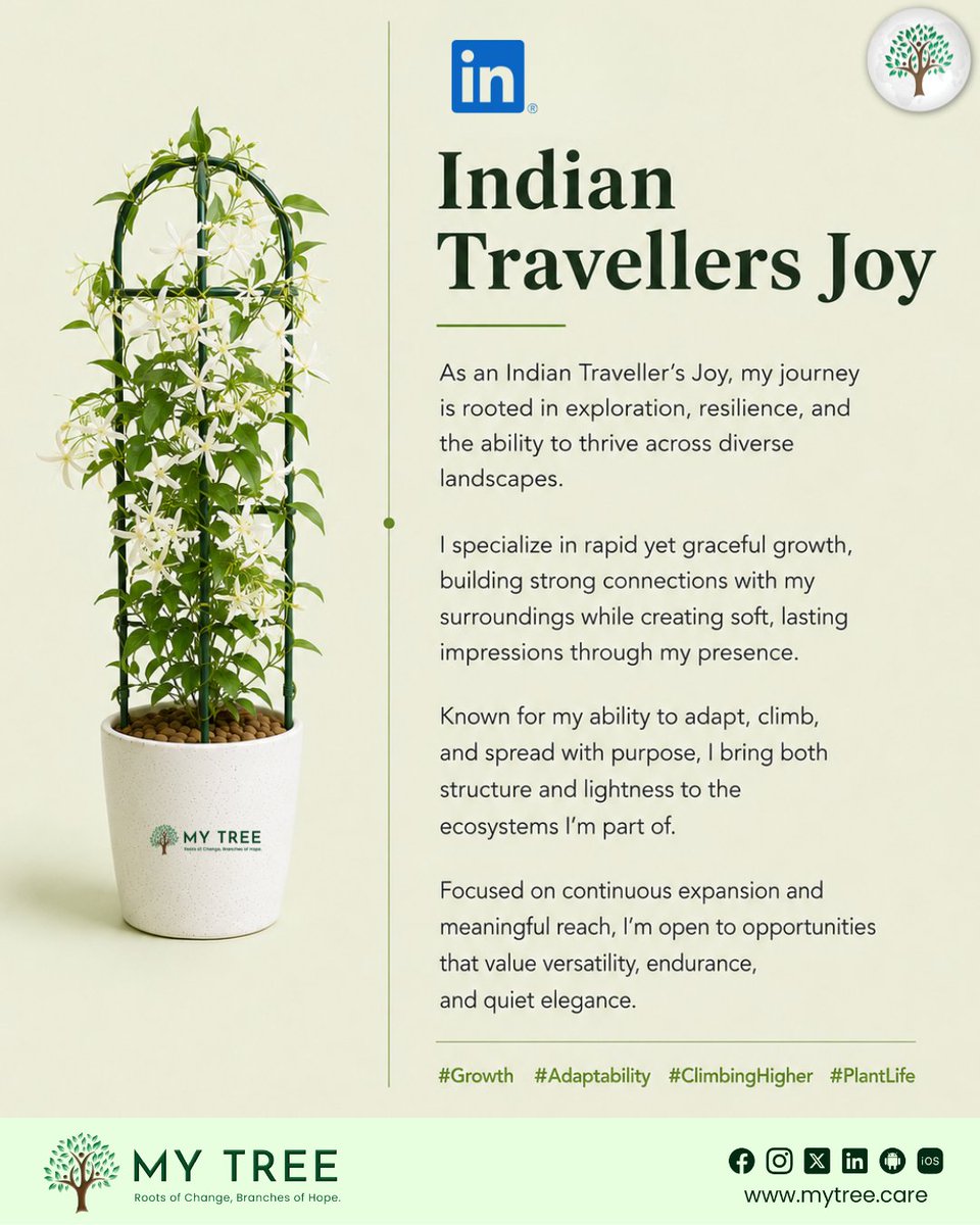 mytree70's tweet photo. Well we imagined what if our plants had a LinkedIn account?
God Forbid we let our plants have some personality!!!

Whether you're brightening up your living space or looking for meaningful corporate gifts, these plants make the perfect choice.

#MyTreeEnviros #PlantPersonality https://t.co/0qdENkDAsQ