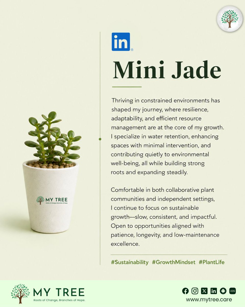 mytree70's tweet photo. Well we imagined what if our plants had a LinkedIn account?
God Forbid we let our plants have some personality!!!

Whether you're brightening up your living space or looking for meaningful corporate gifts, these plants make the perfect choice.

#MyTreeEnviros #PlantPersonality https://t.co/0qdENkDAsQ
