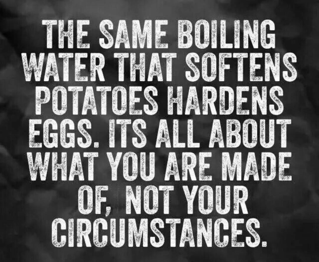 BevCross1's tweet photo. Good morning X-folk! 
#WednesdayWisdom https://t.co/3oRDeG0GXA