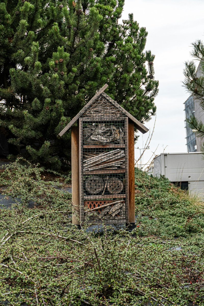 earthcurated's tweet photo. Many cities install "bee hotels" simple wooden structures with hollow tubes that give solitary bees places to nest and pollinate local plants. https://t.co/QQK6vGt6Xs